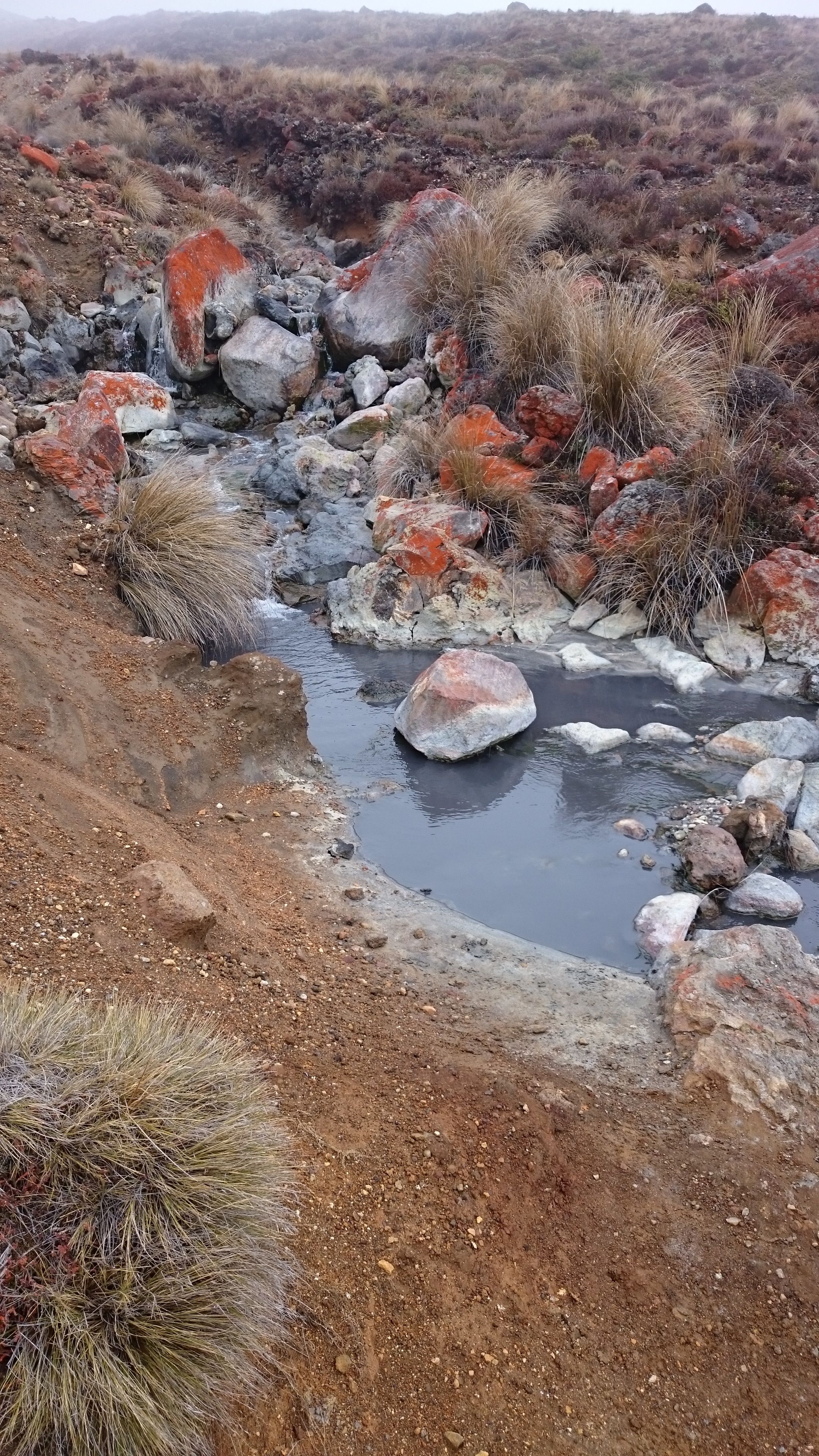 Tongariro