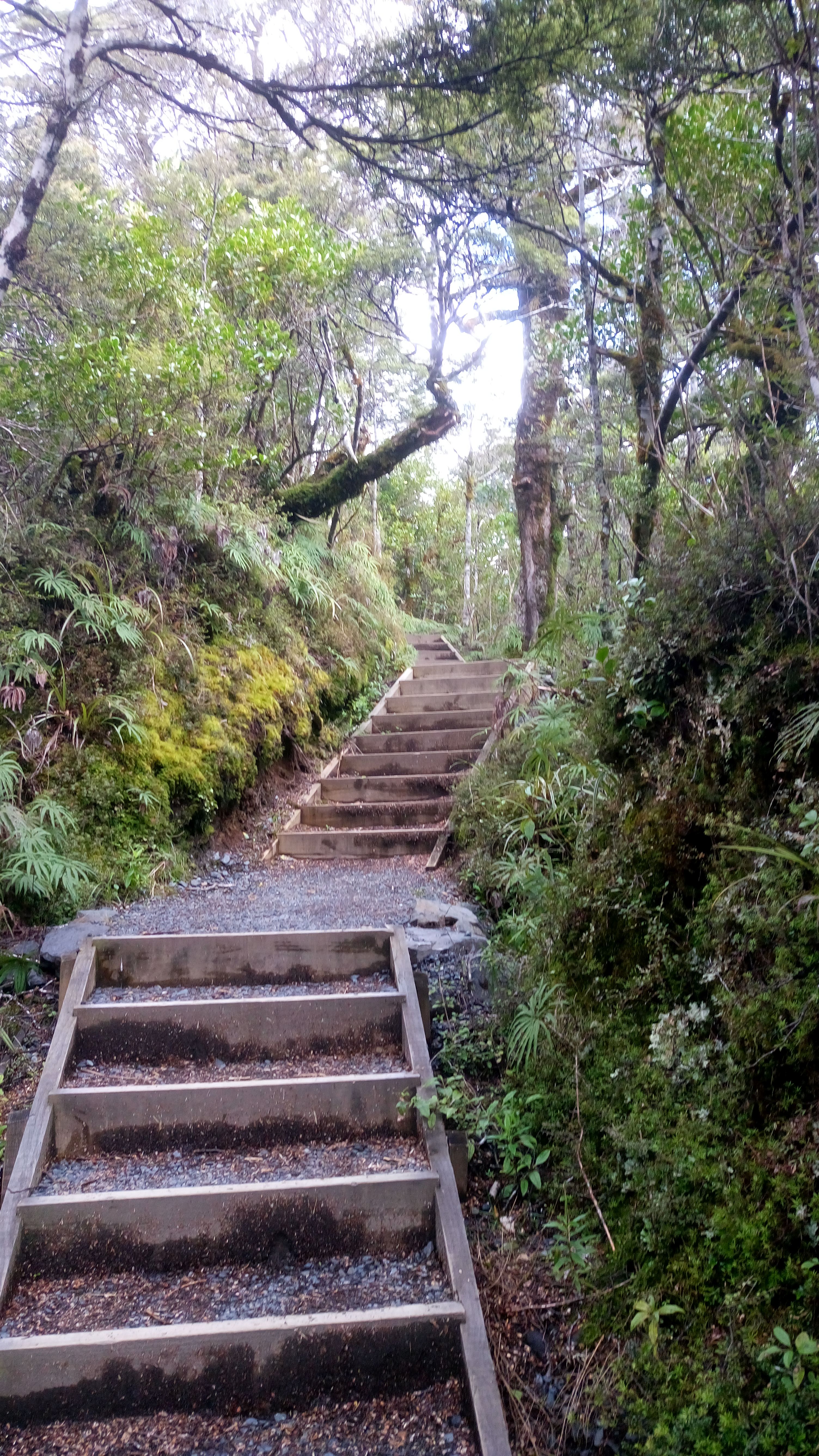 Výstup na Tongariro - cca 800 schodů na začátku