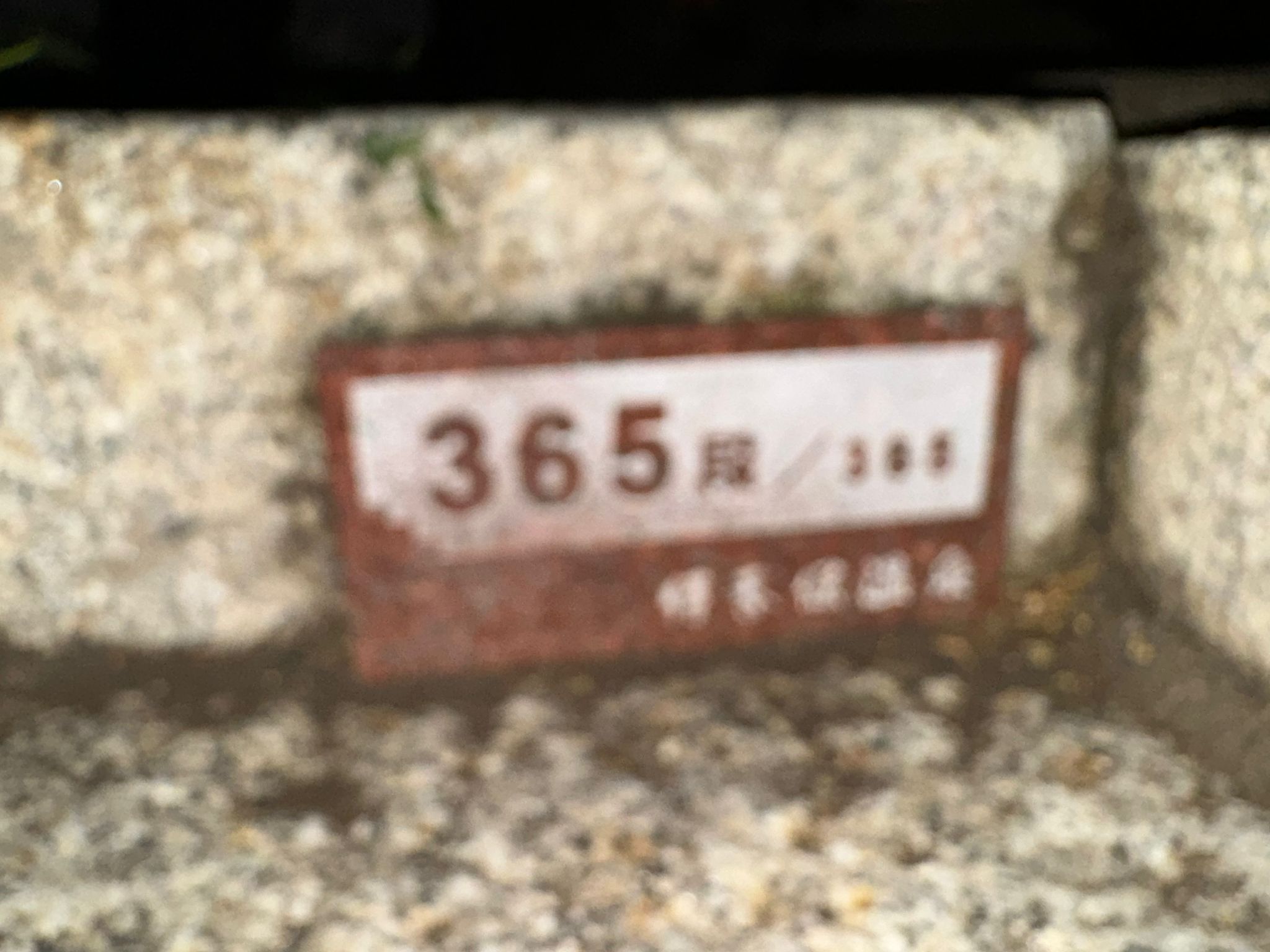 IMG-20240513-WA0023
