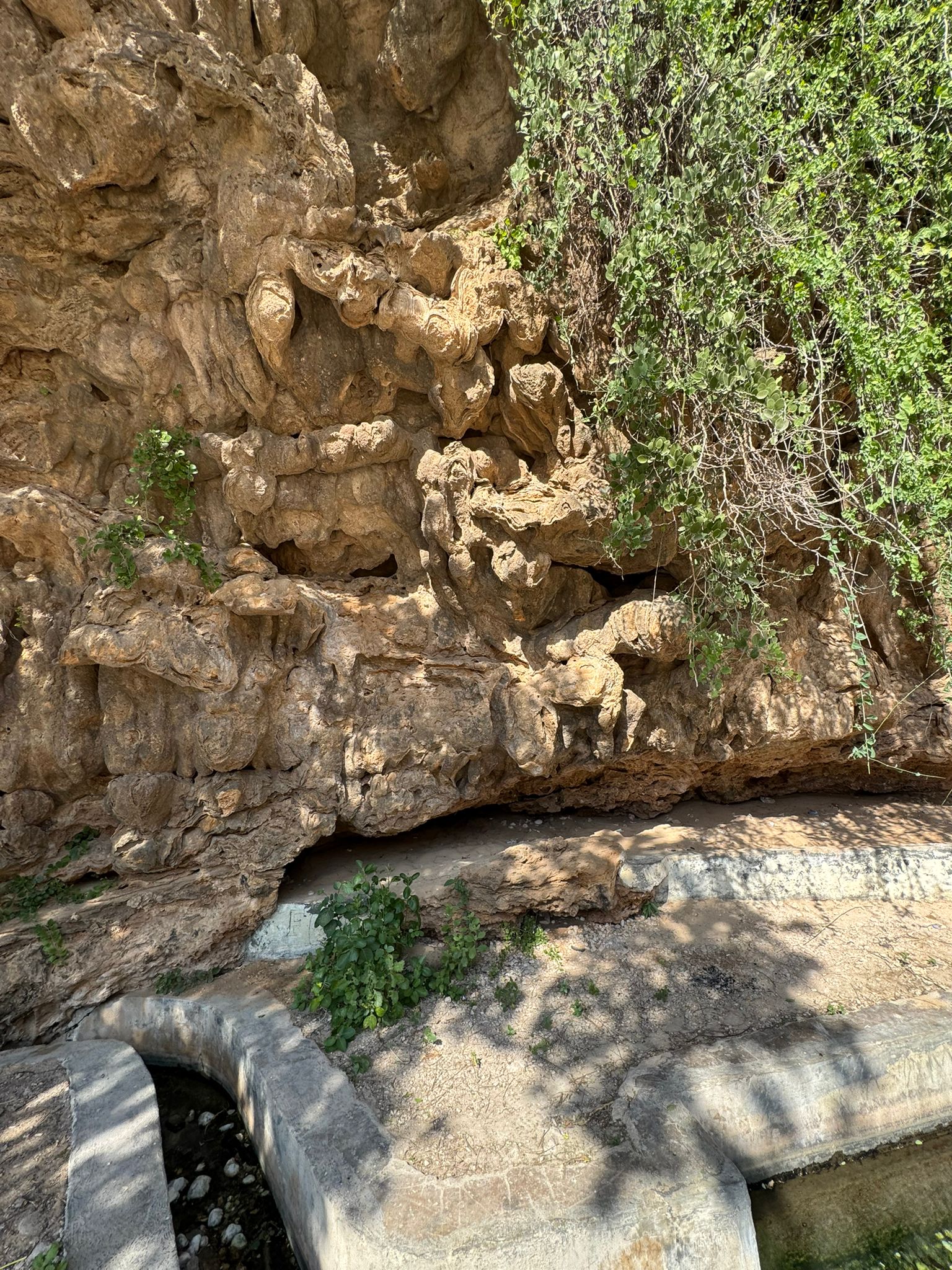 IMG-20241203-WA0008