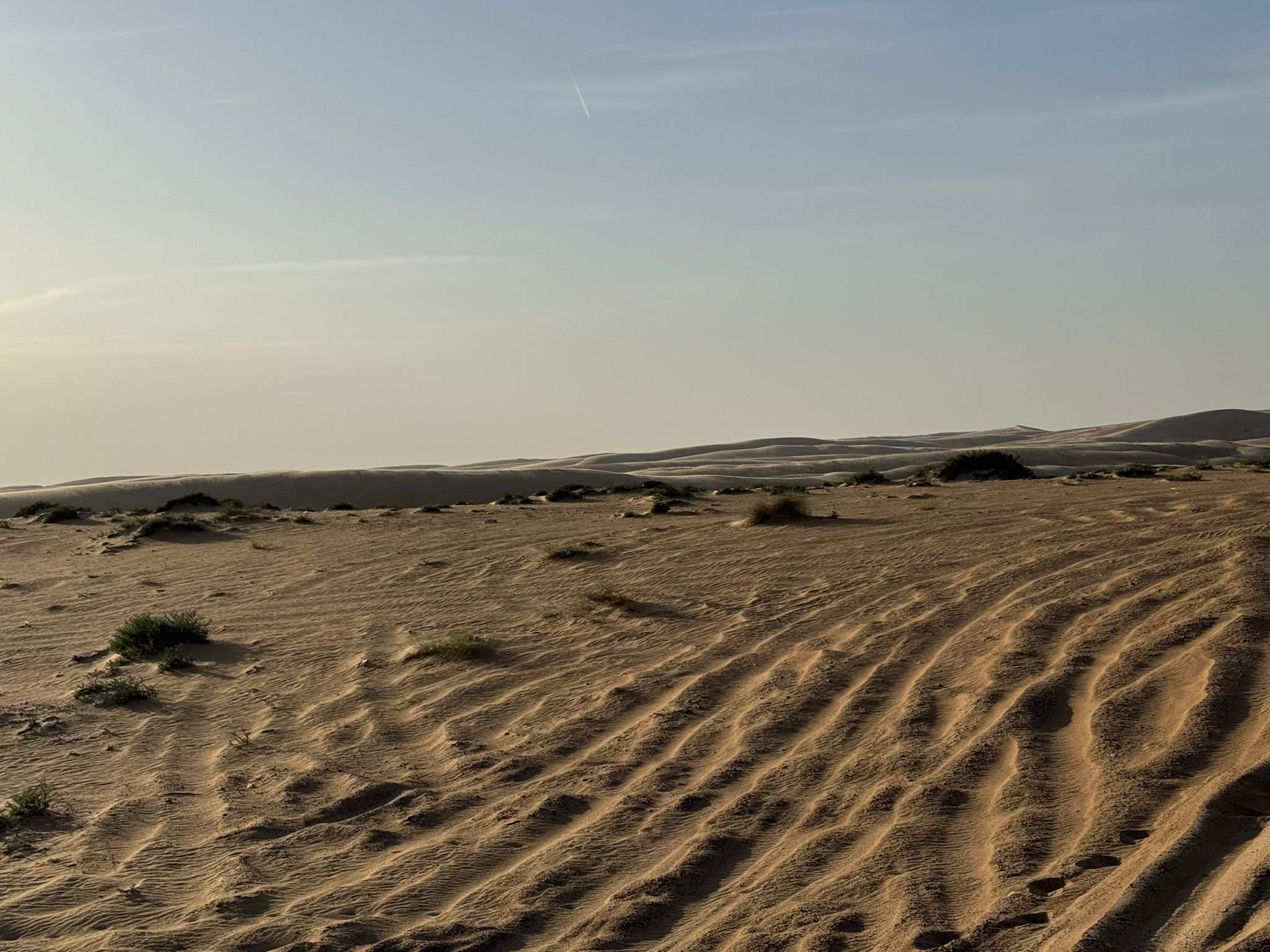 IMG-20241210-WA0001
