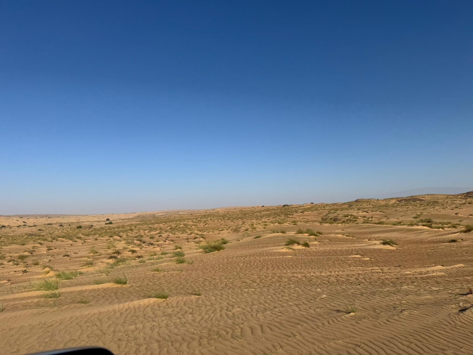 IMG-20241211-WA0007