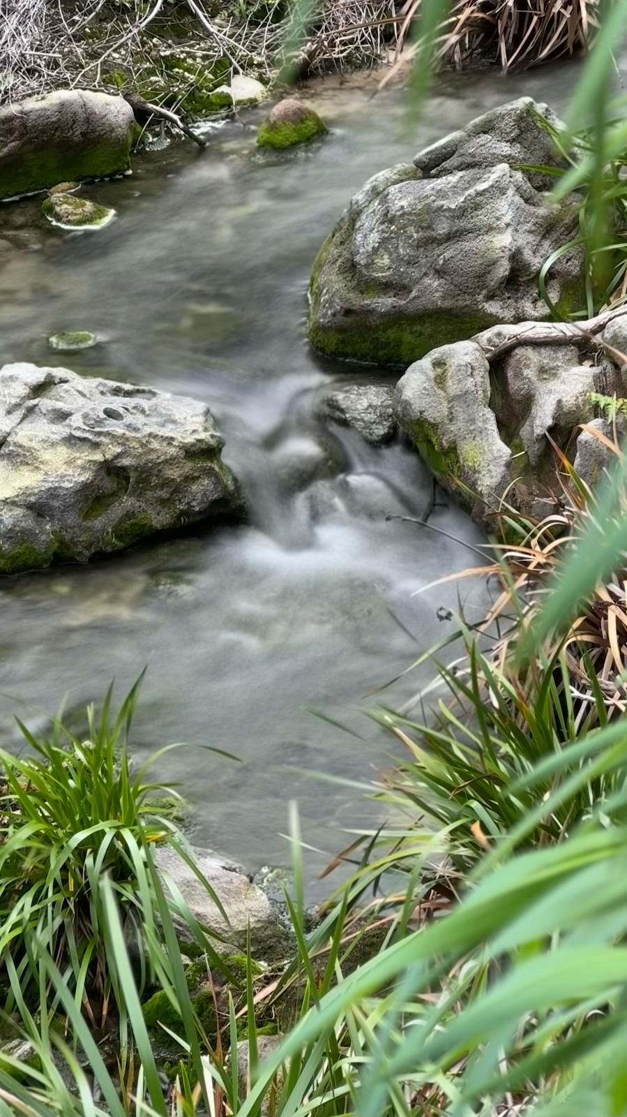 IMG-20250306-WA0008