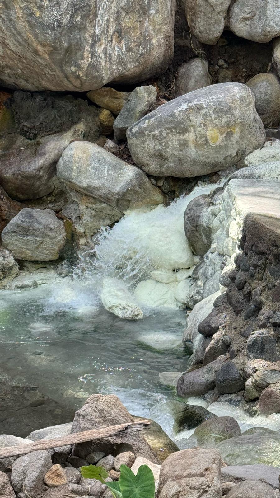 IMG-20250308-WA0016