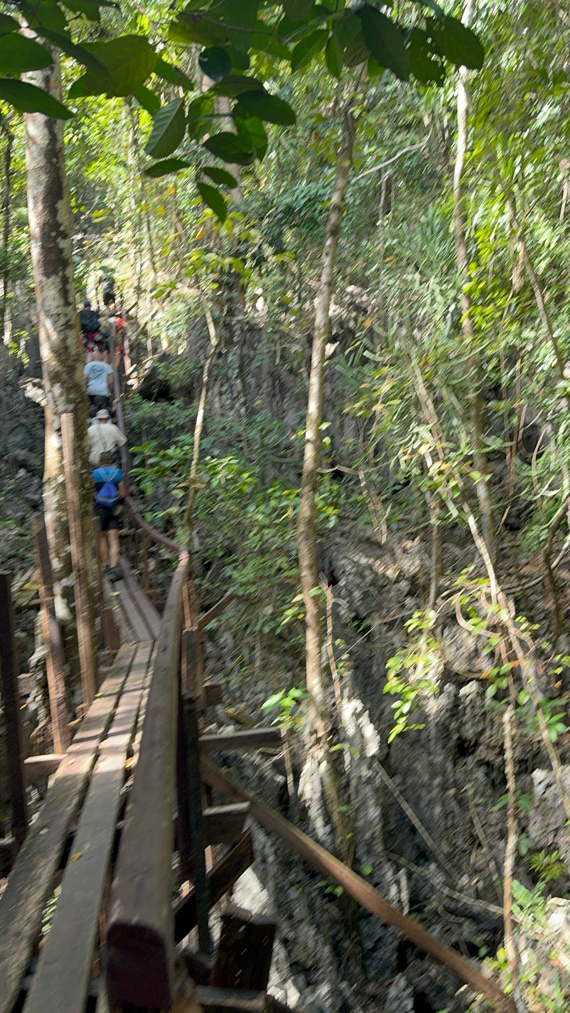 IMG-20250314-WA0011