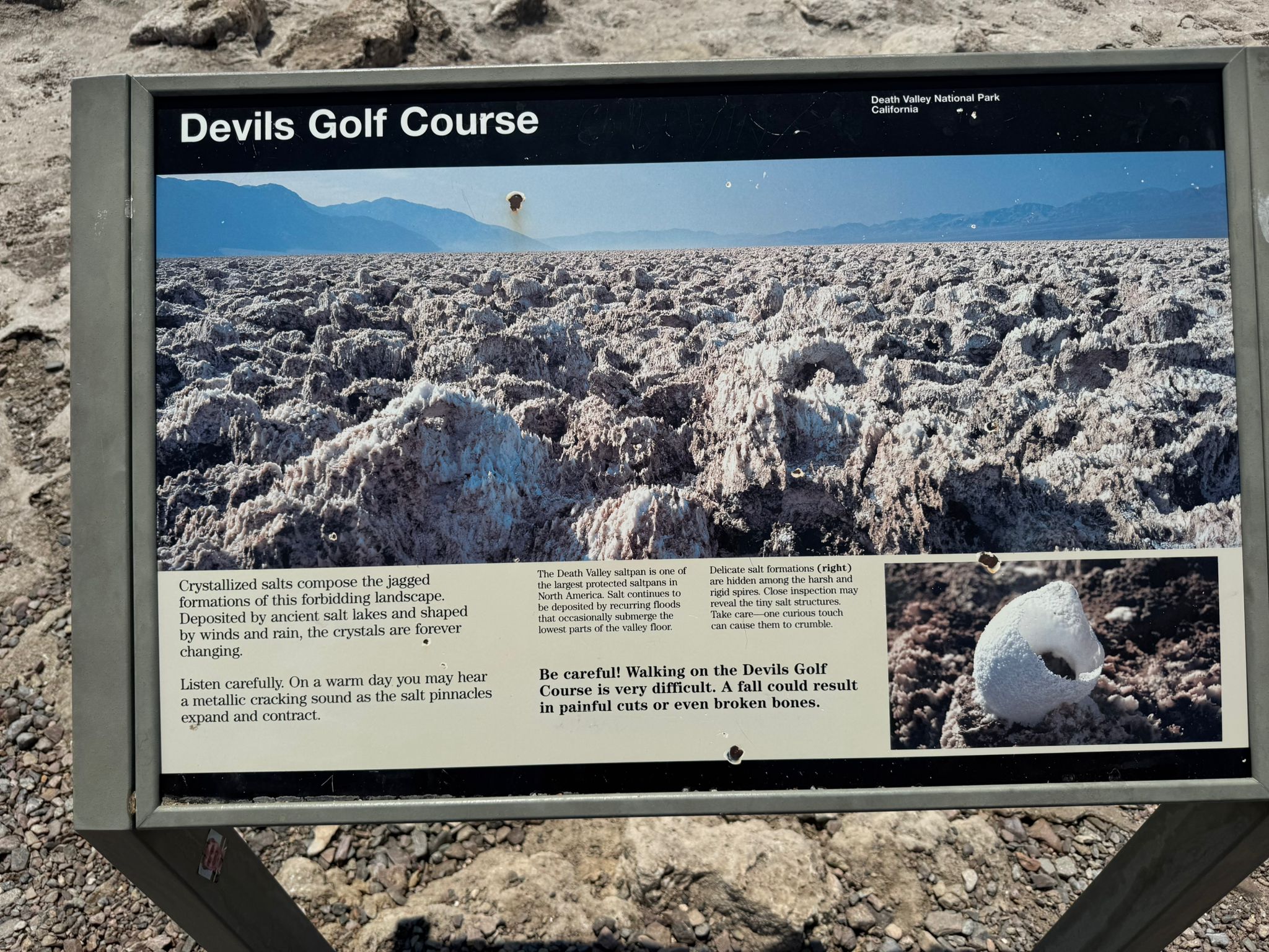 IMG-20250716-WA0009