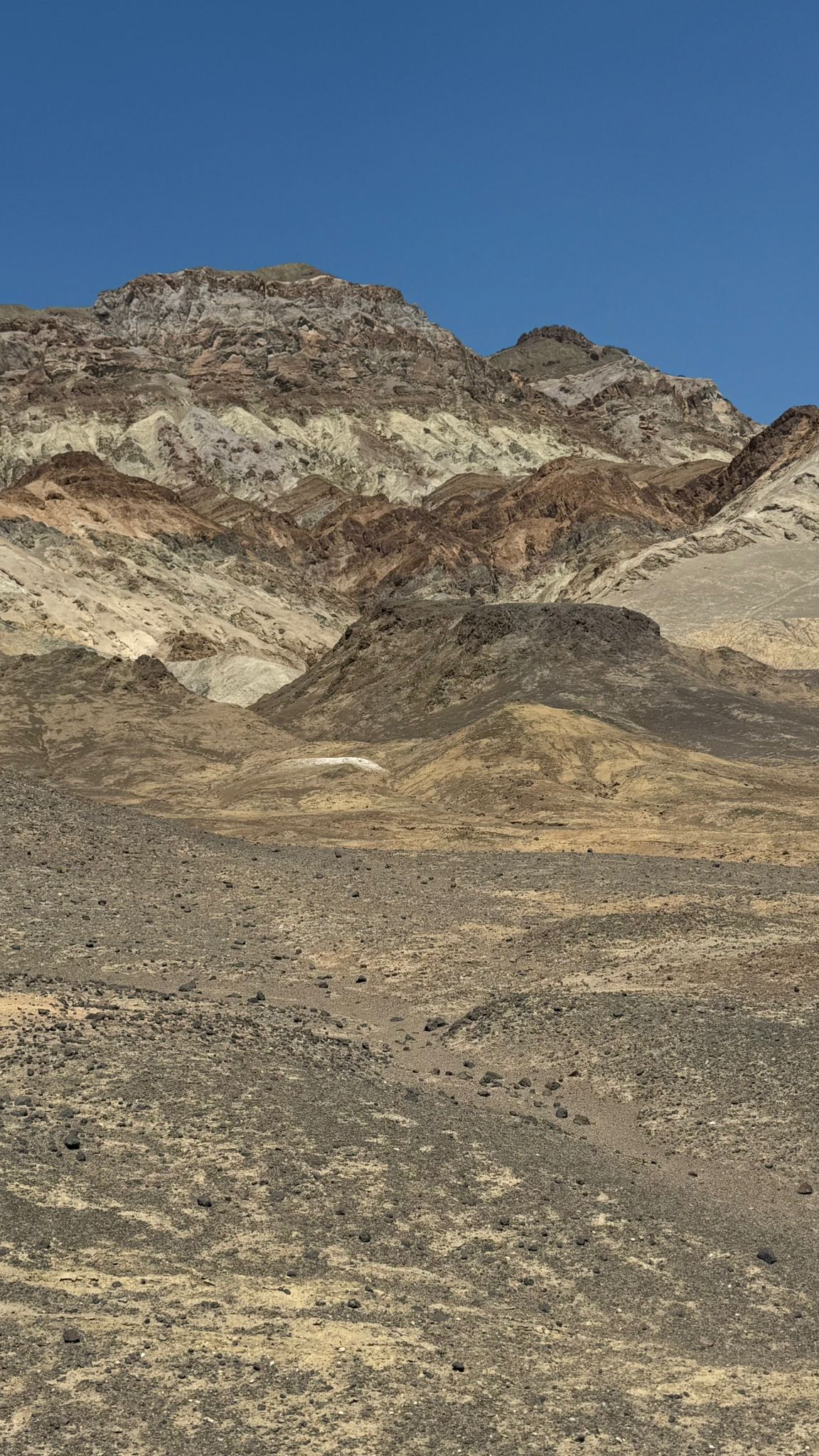 IMG-20250716-WA0015