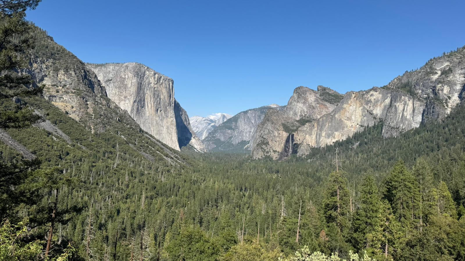 IMG-20250719-WA0018