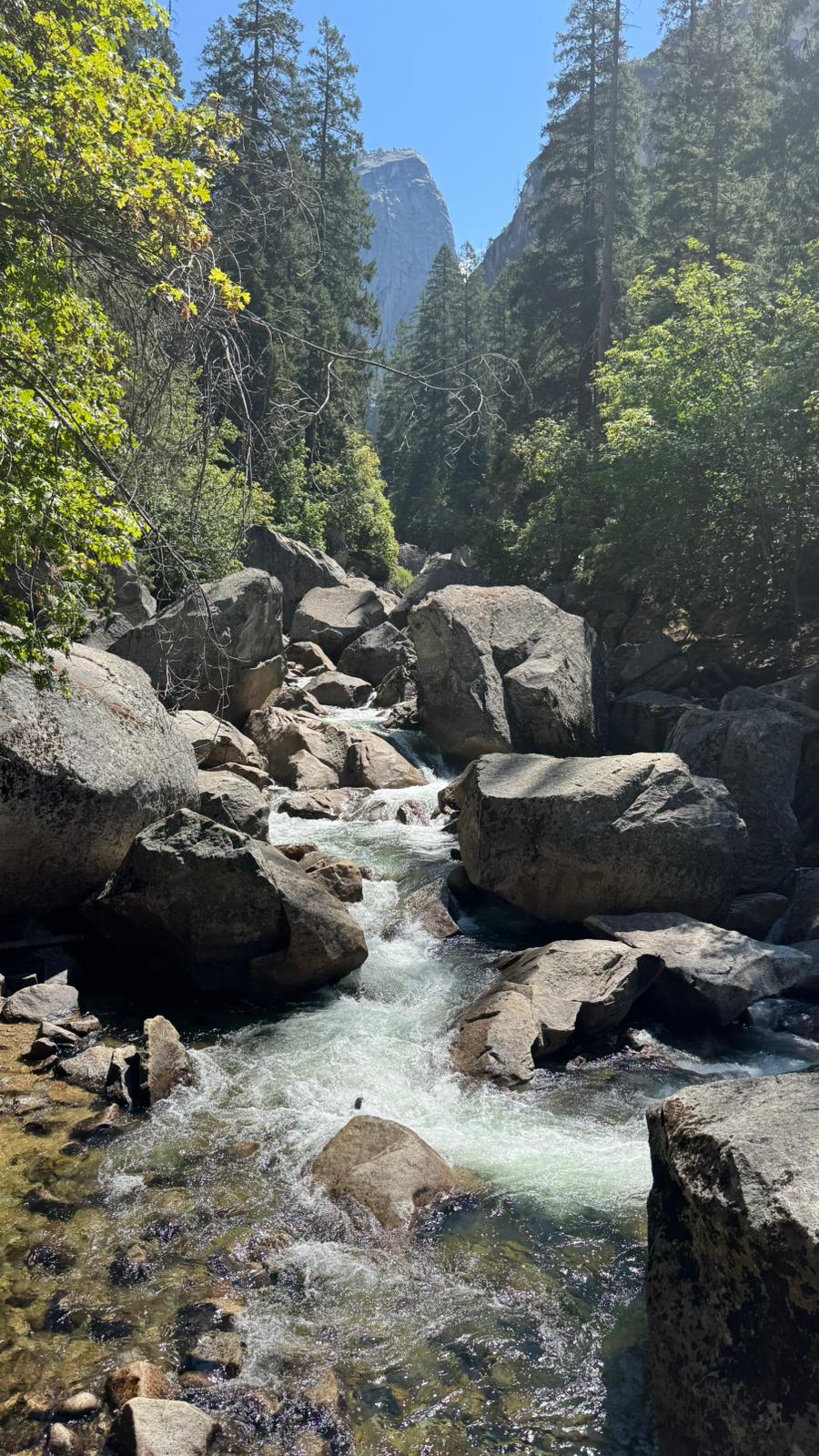 IMG-20250720-WA0003