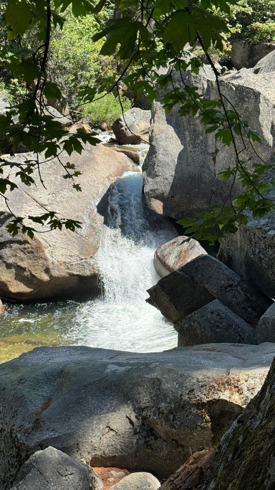 IMG-20250720-WA0006