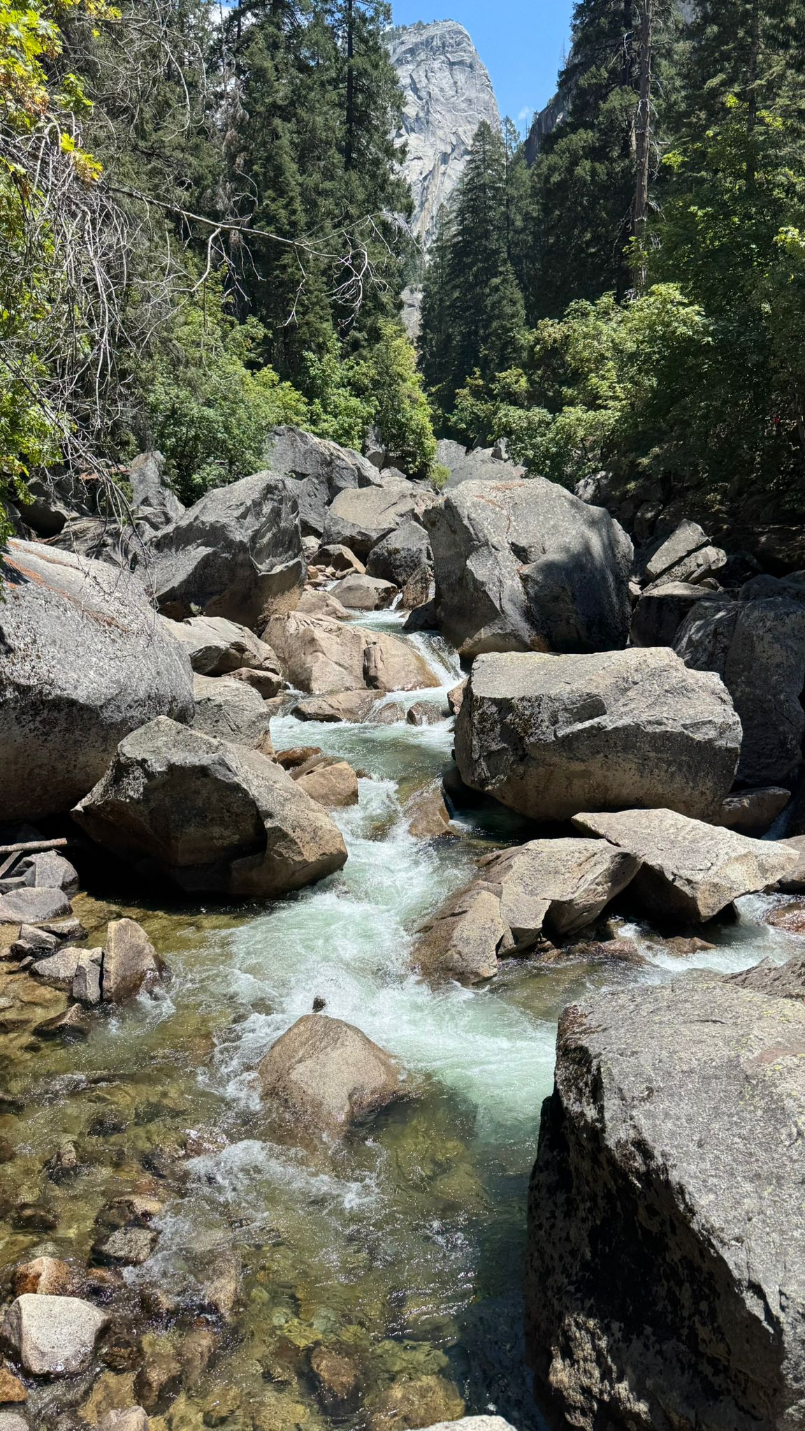 IMG-20250720-WA0014