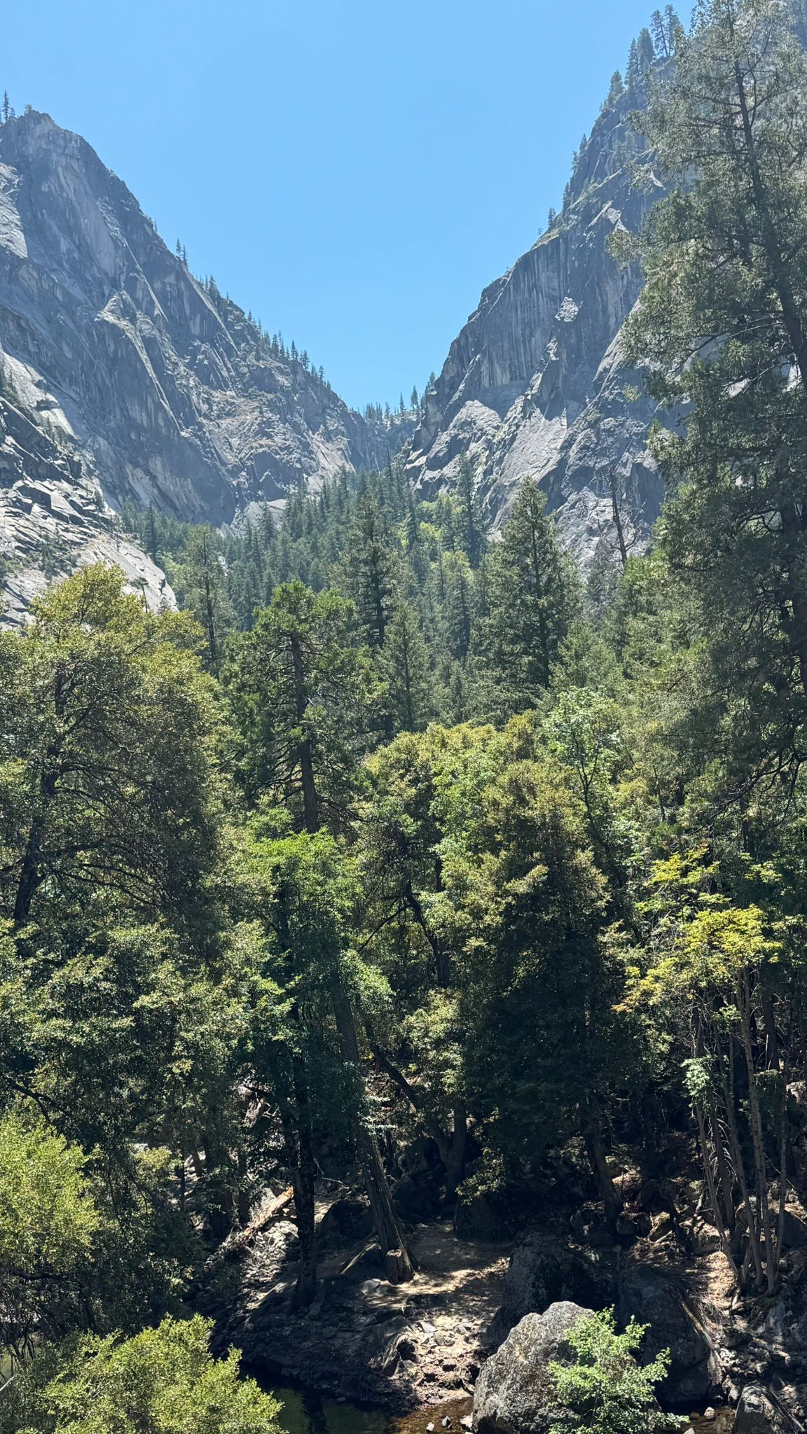 IMG-20250720-WA0015