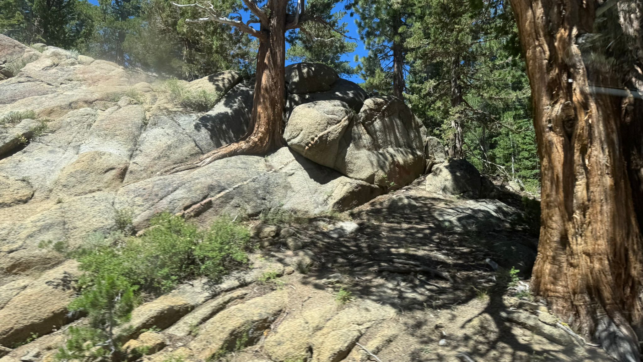IMG-20250721-WA0018
