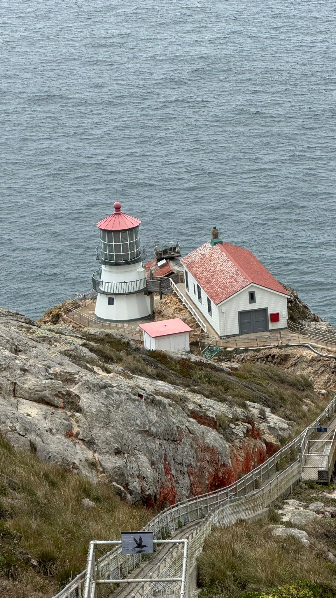 IMG-20250723-WA0009