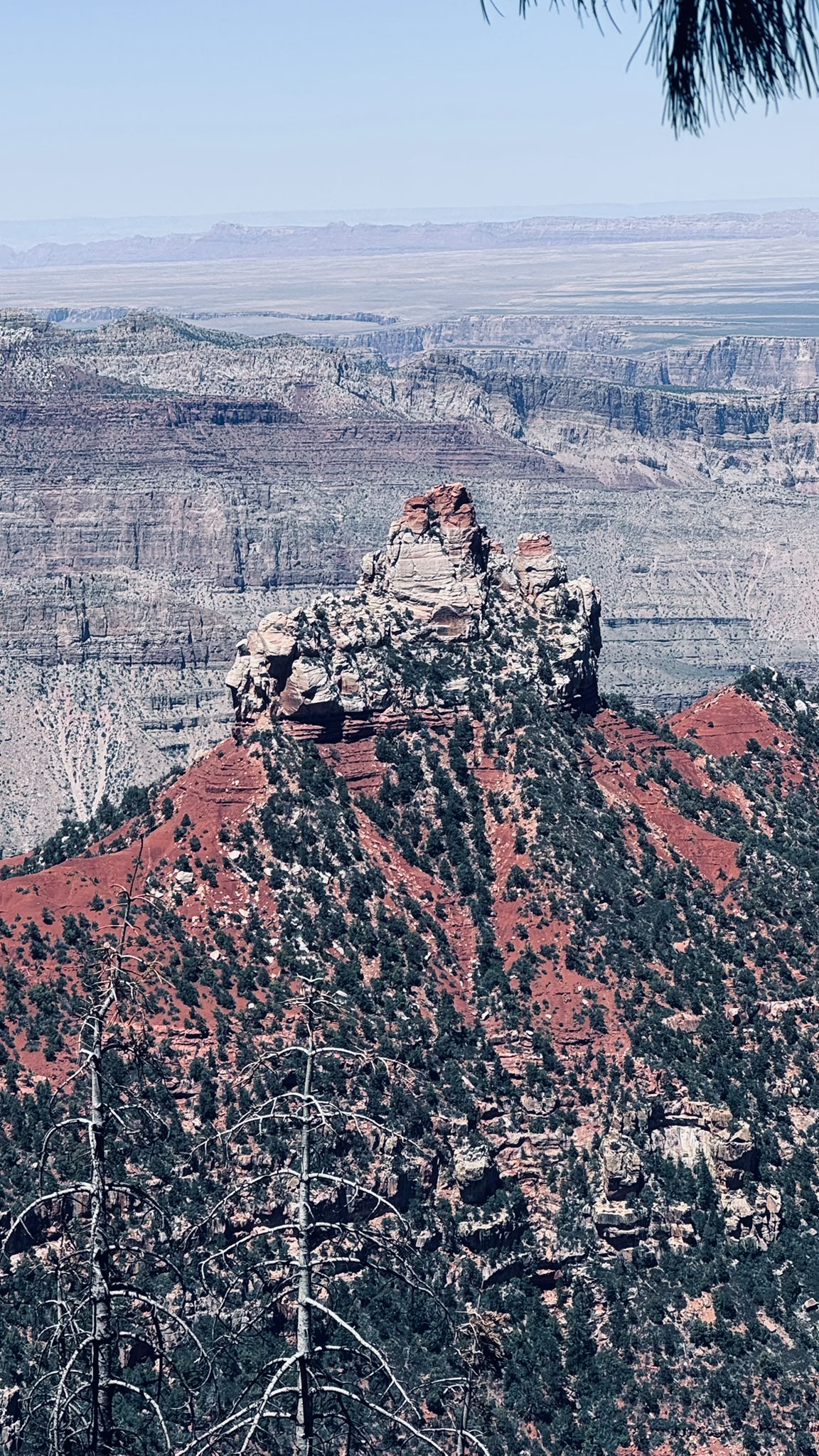 IMG-20260611-WA0055