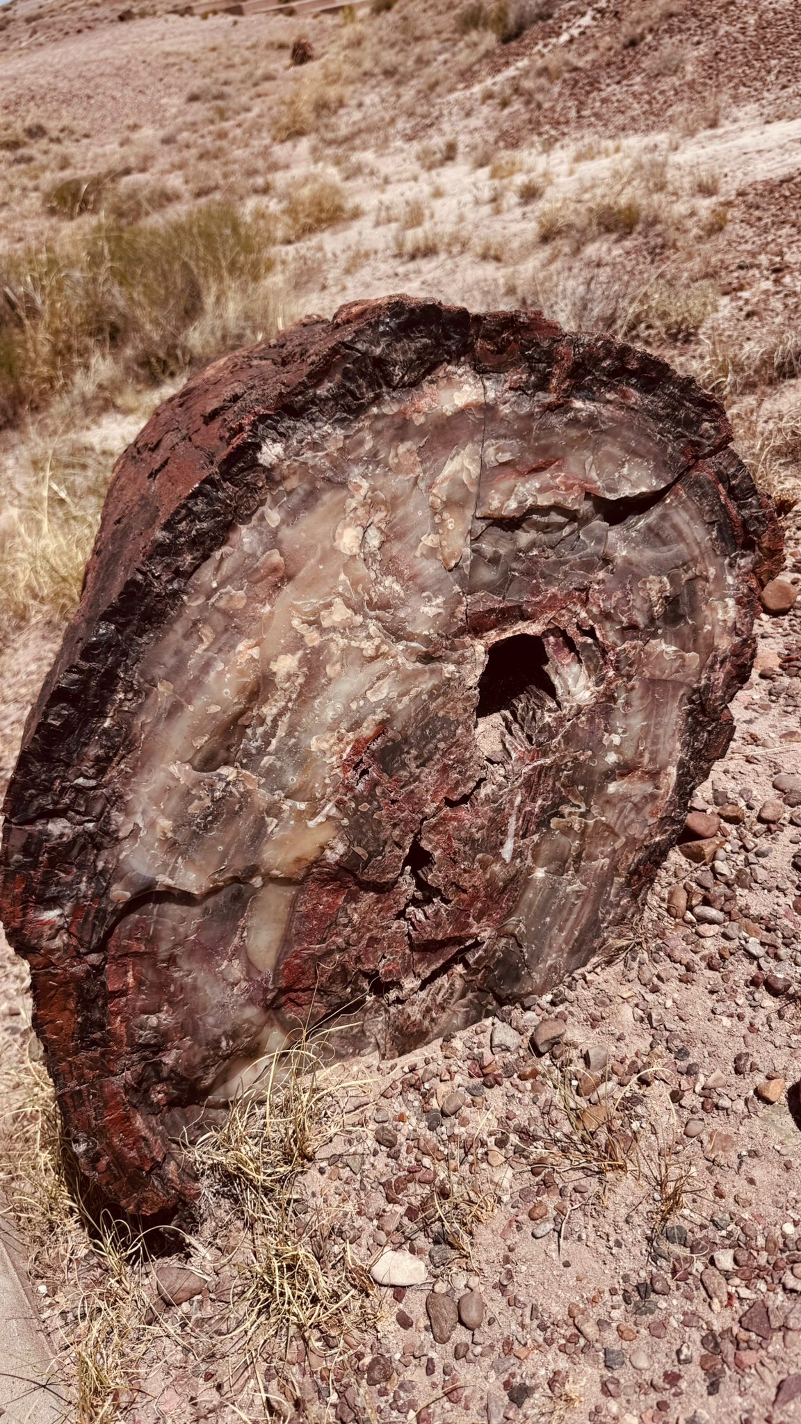 IMG-20260613-WA0031
