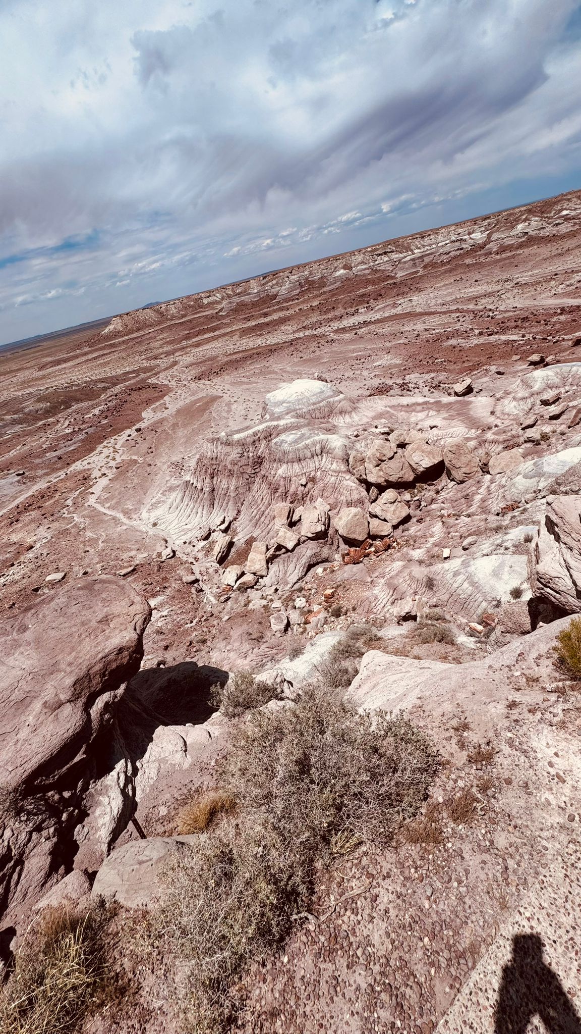 IMG-20260613-WA0035