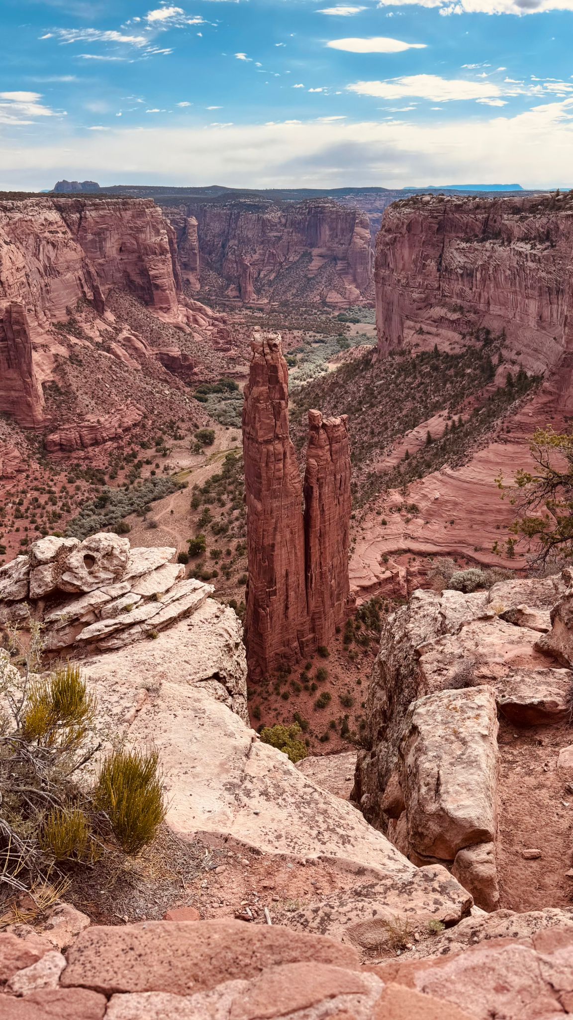 IMG-20260614-WA0006
