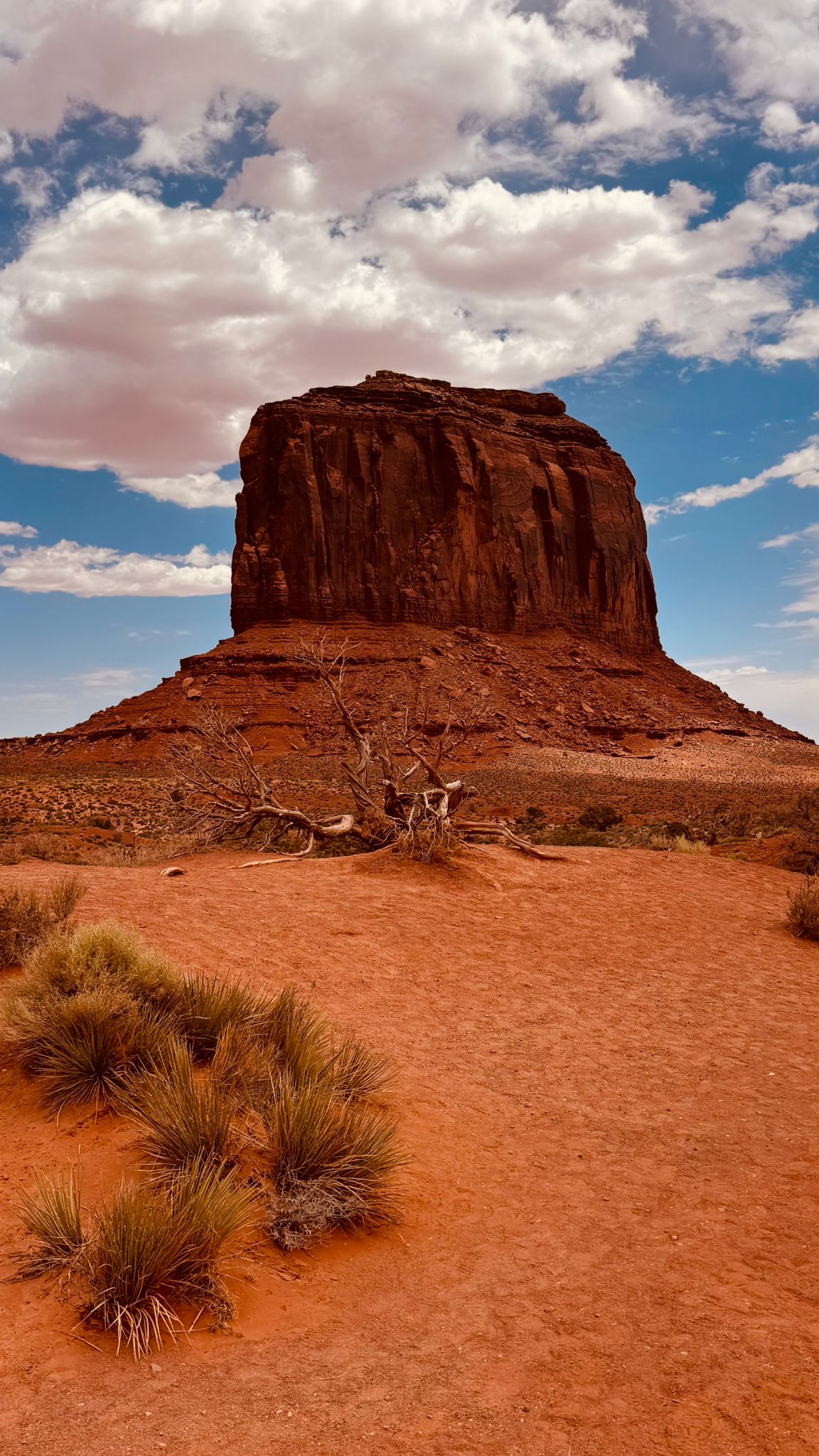 IMG-20260614-WA0010