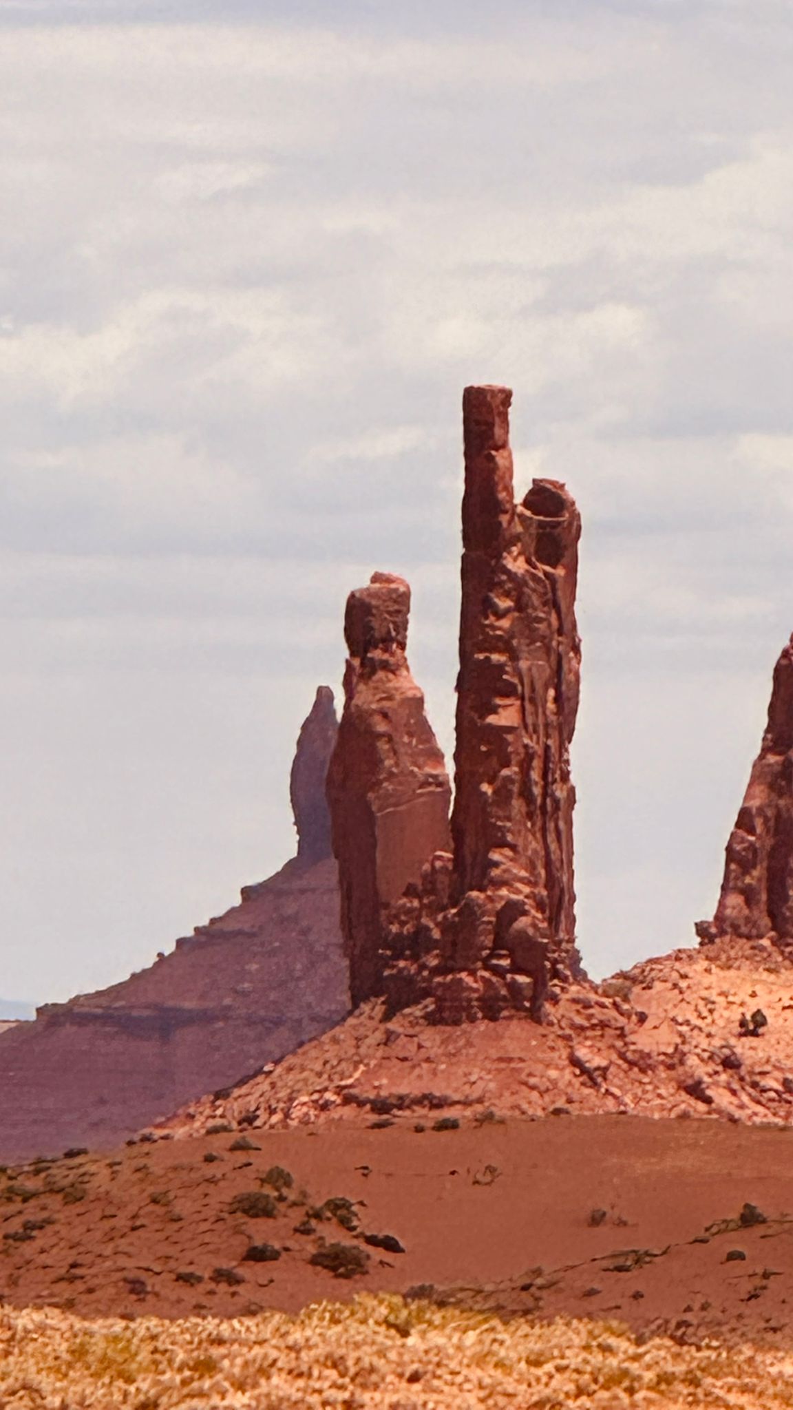 IMG-20260614-WA0013
