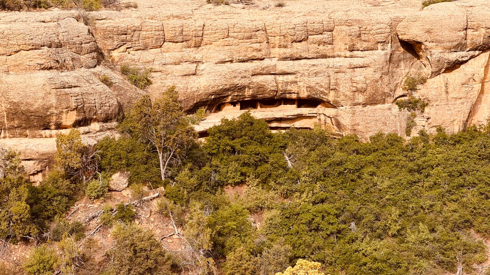 IMG-20260615-WA0001