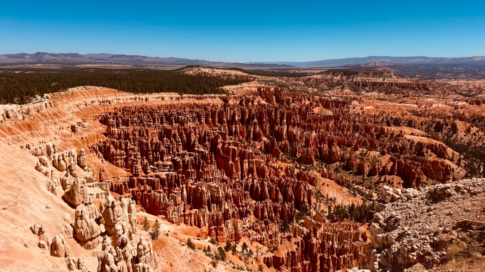 IMG-20260621-WA0008