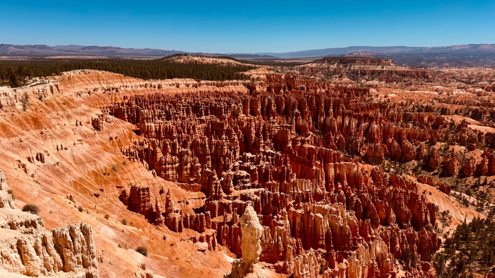 IMG-20260621-WA0010