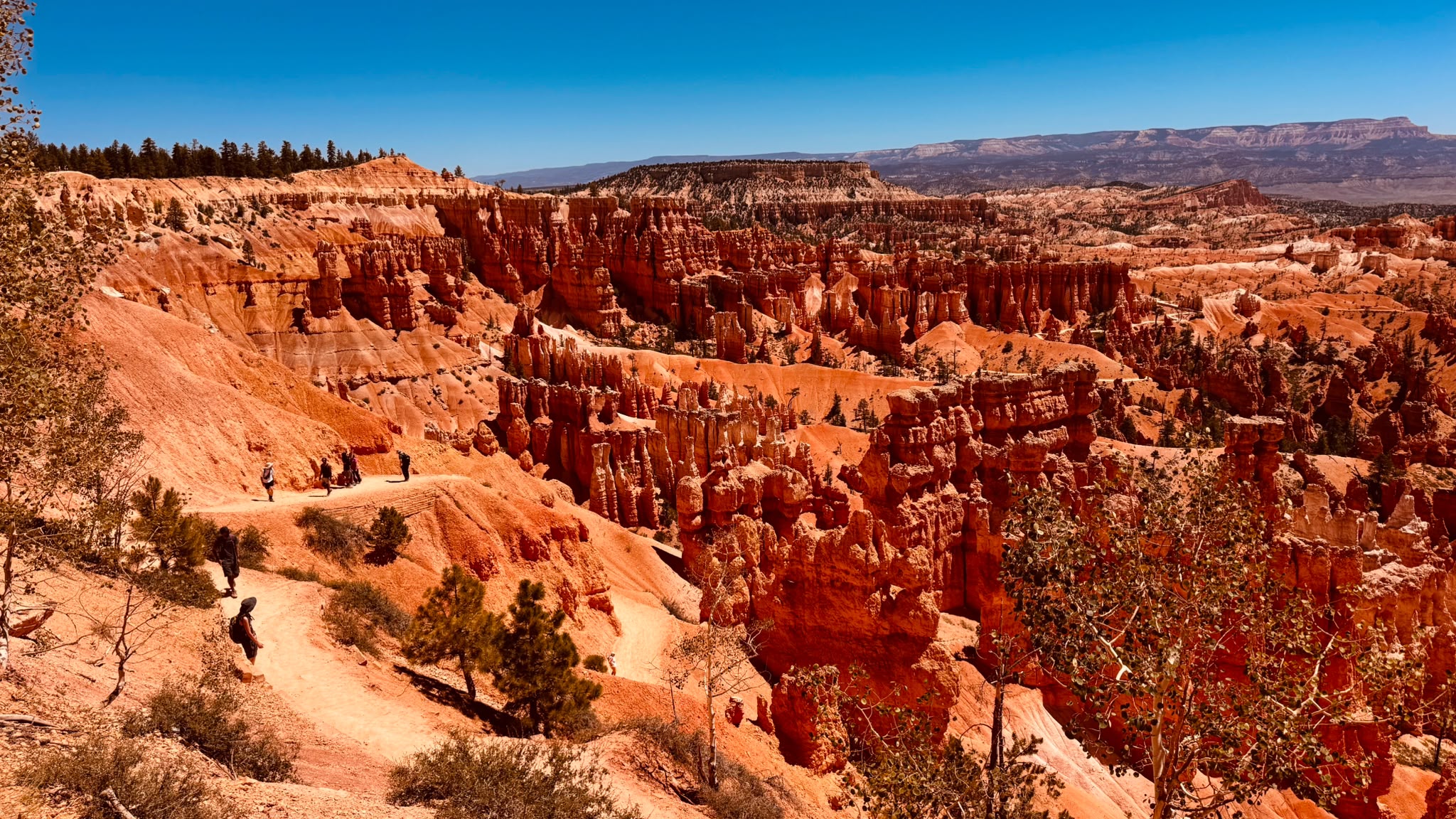 IMG-20260621-WA0011