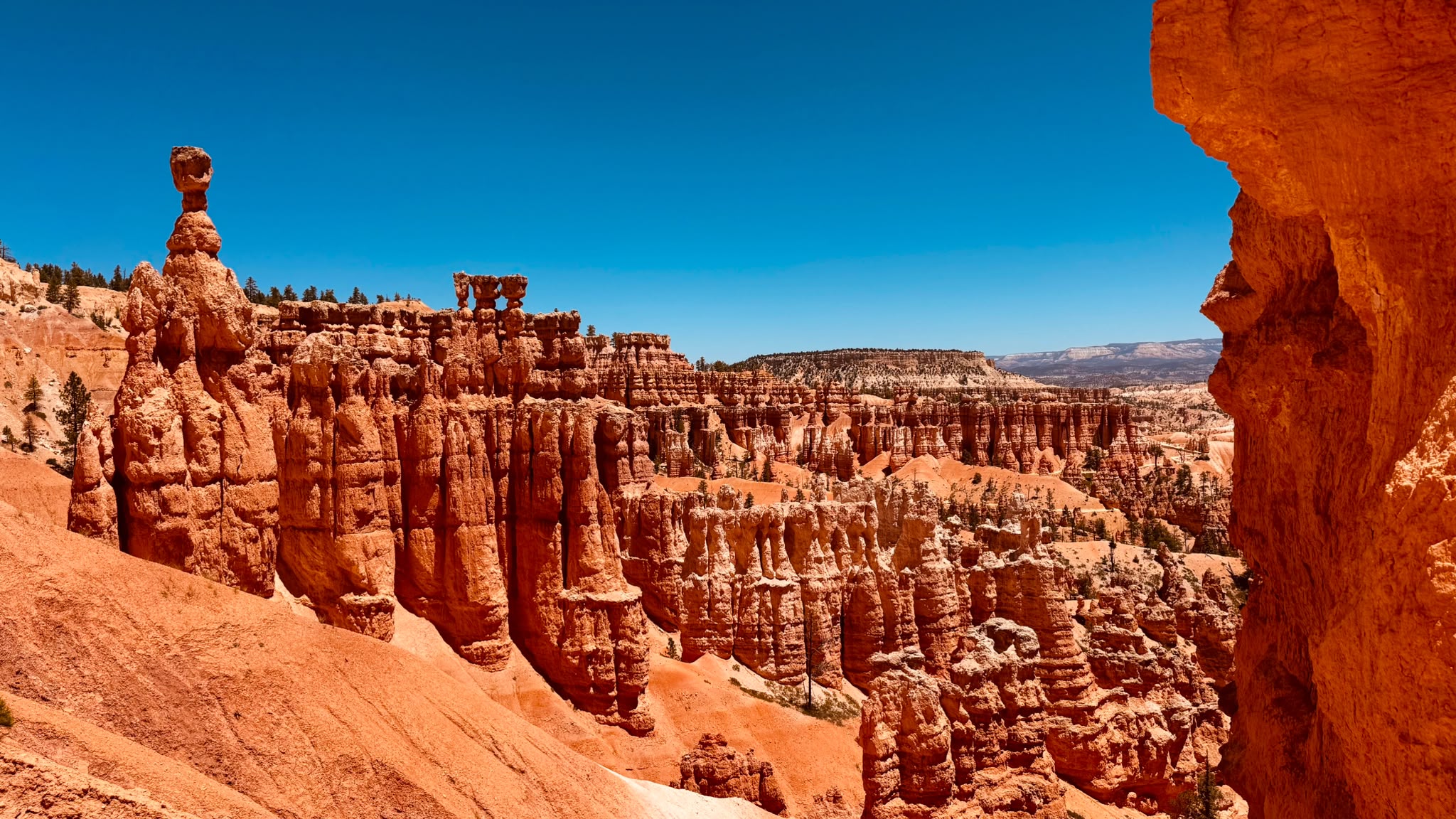 IMG-20260621-WA0018