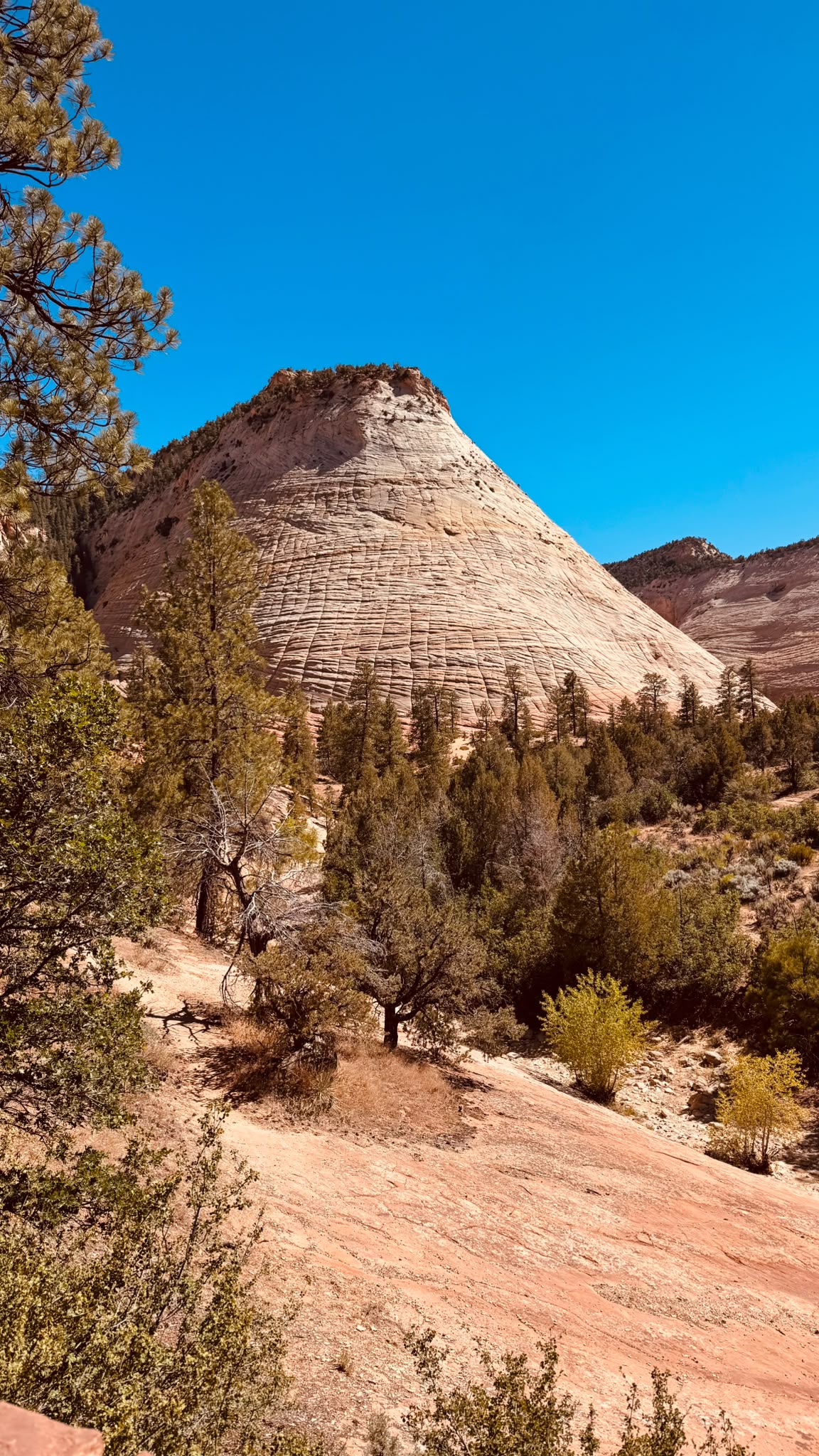 IMG-20260621-WA0019
