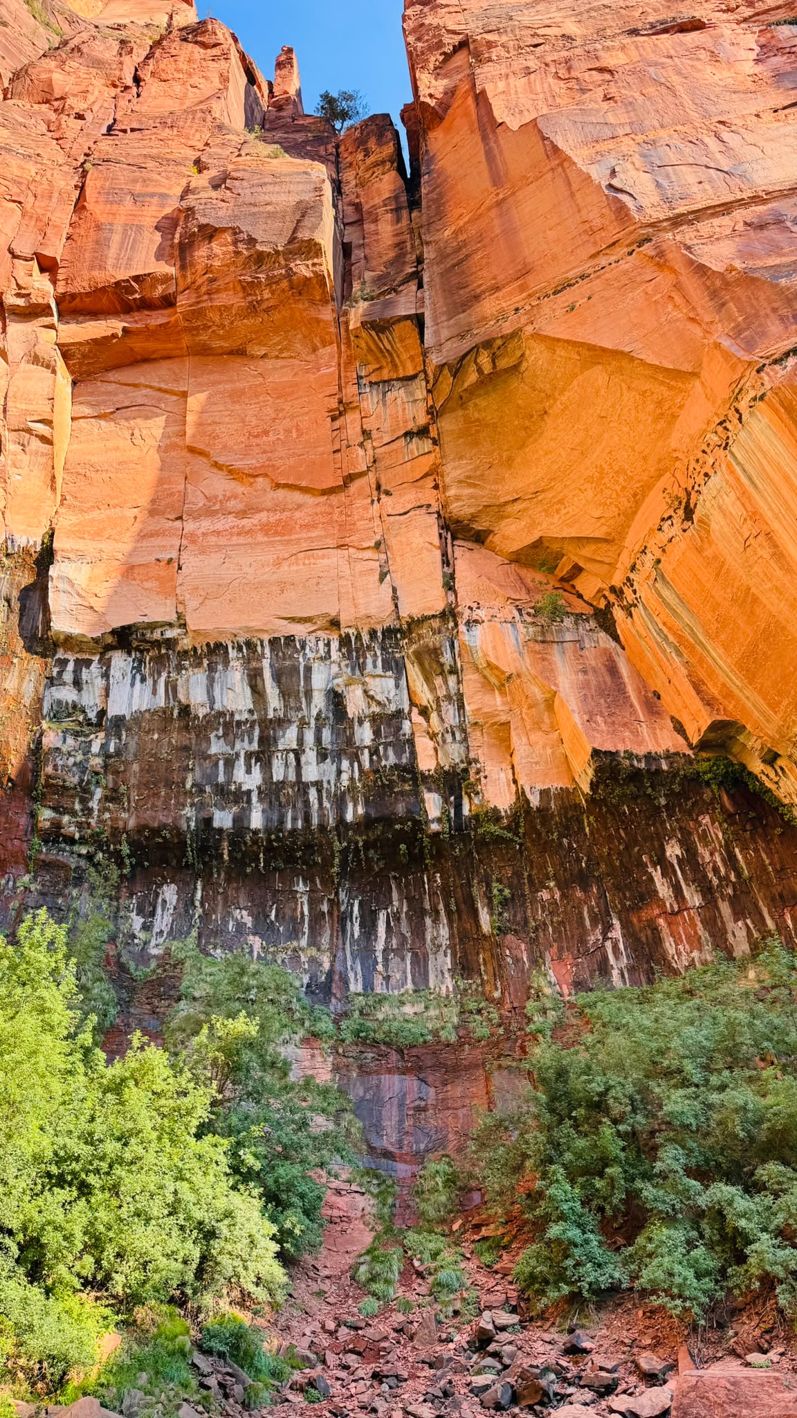IMG-20260622-WA0005