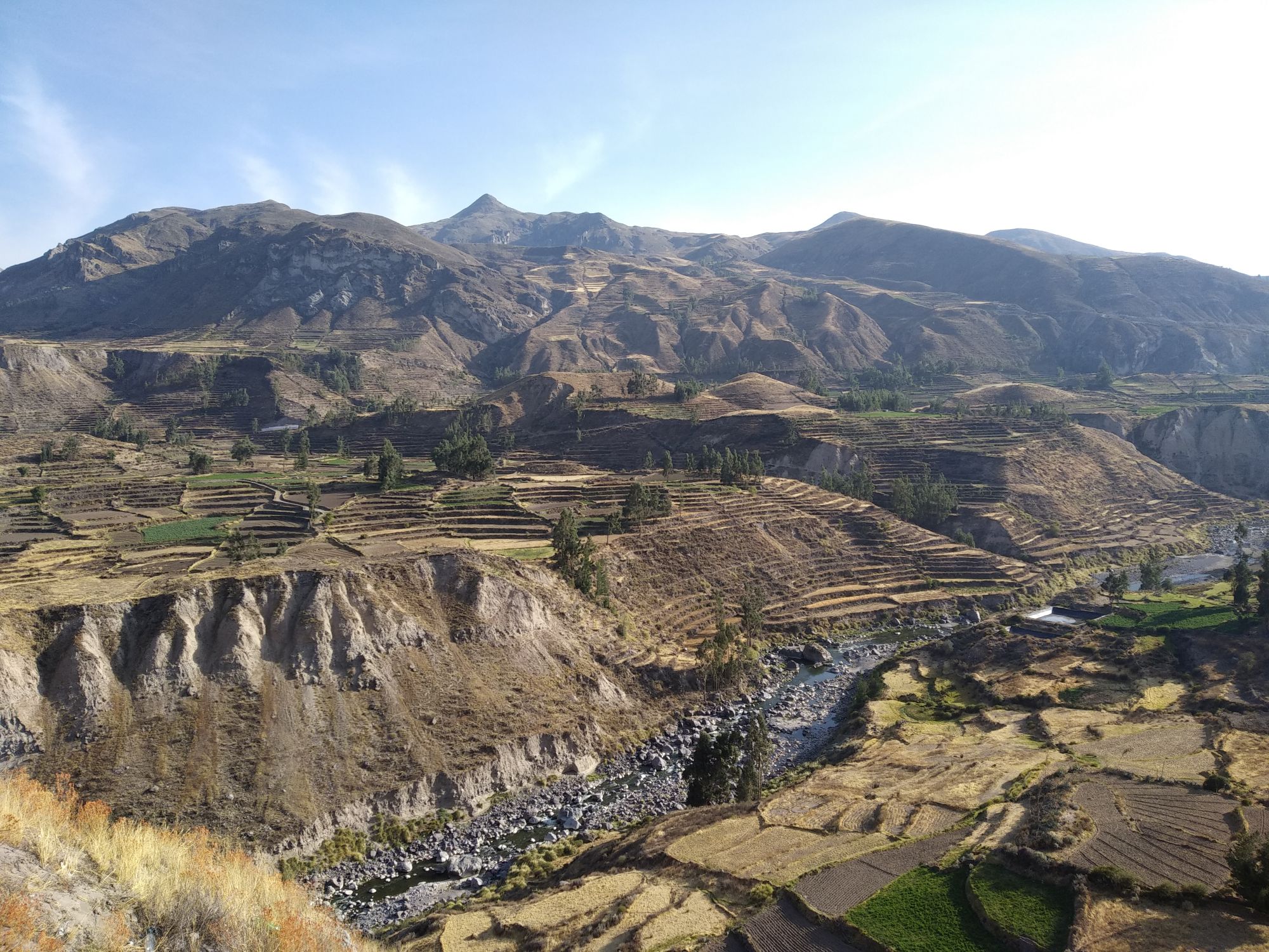 Colca