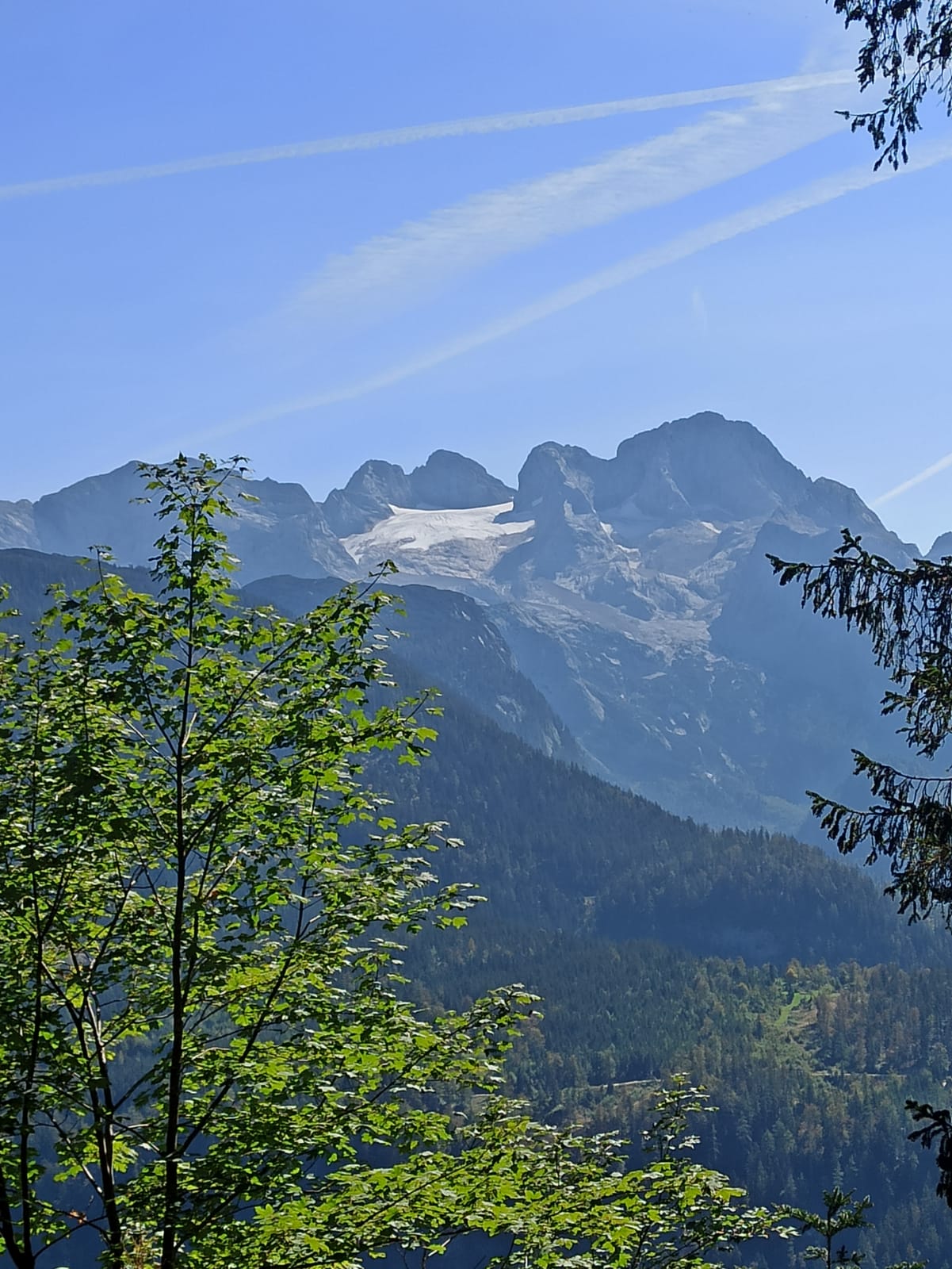 IMG-20200916-WA0003