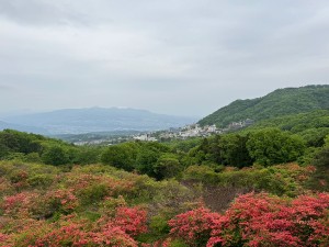 img-20240513-wa0019.jpg