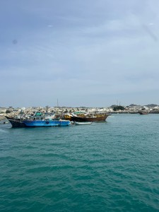 img-20241210-wa0006.jpg