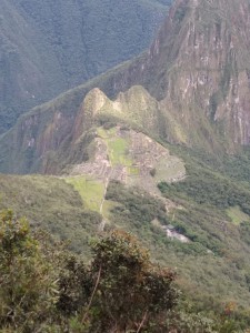img-20181103-wa0009.jpg