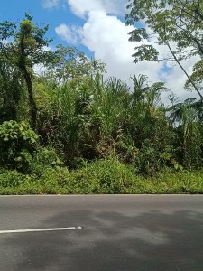 img-20220305-wa0002.jpg