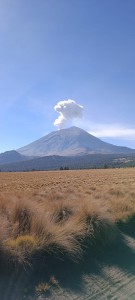 img-20230204-wa0013.jpg