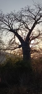 img-20230811-wa0005.jpg
