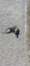 IMG-20230220-WA0007