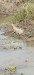 IMG-20230811-WA0004