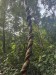 IMG-20240110-WA0013