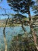 IMG-20240512-WA0001