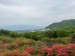 IMG-20240513-WA0019