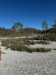 IMG-20240514-WA0017