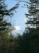 IMG-20240514-WA0019
