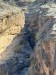 IMG-20241202-WA0031