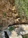 IMG-20241203-WA0008