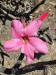IMG-20241205-WA0010