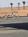 IMG-20241205-WA0018